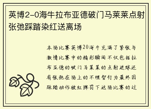 英博2-0海牛拉布亚德破门马莱莱点射张弛踩踏染红送离场