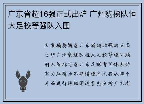 广东省超16强正式出炉 广州豹梯队恒大足校等强队入围